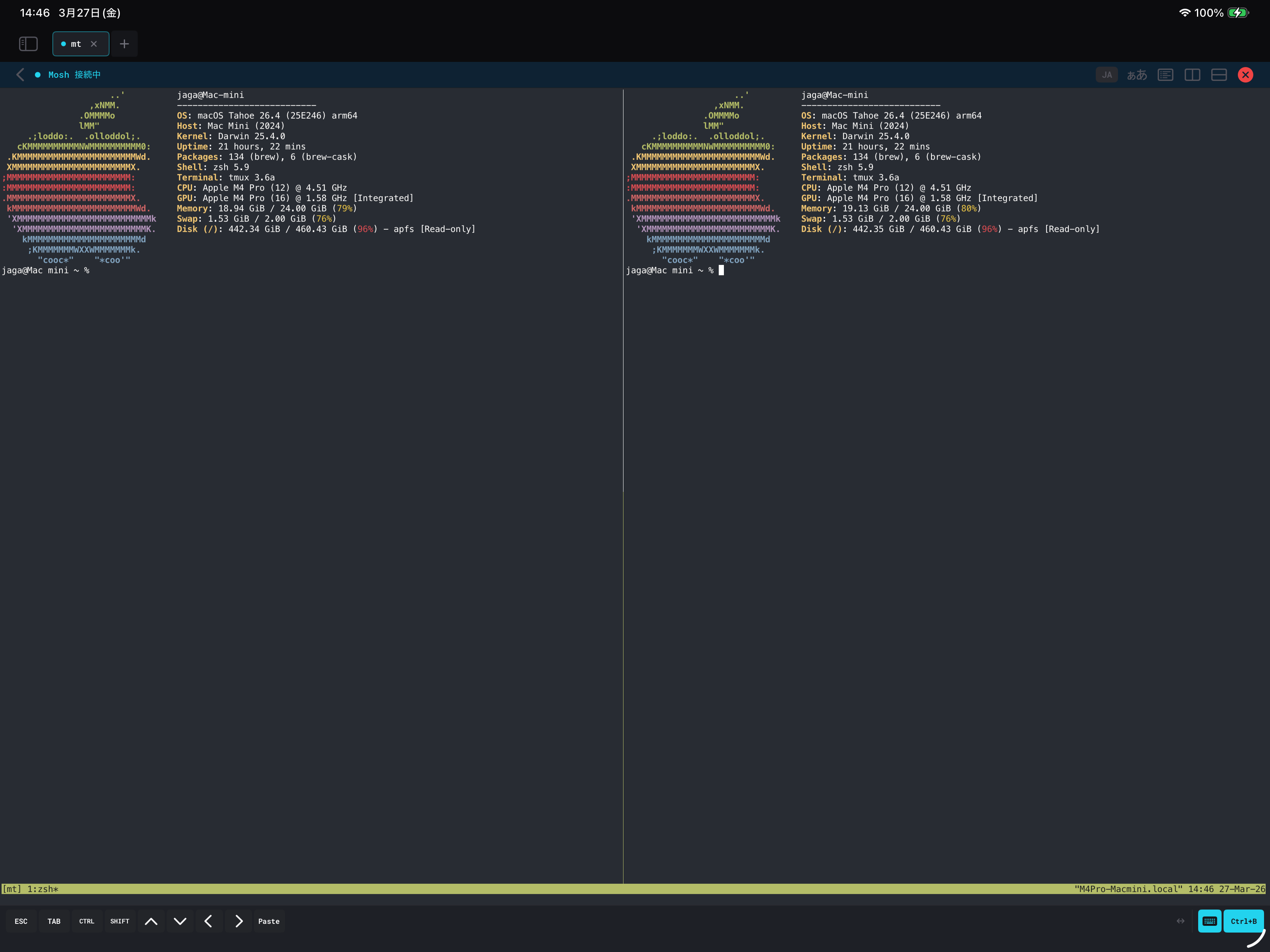 iPad — tmux Multi-pane