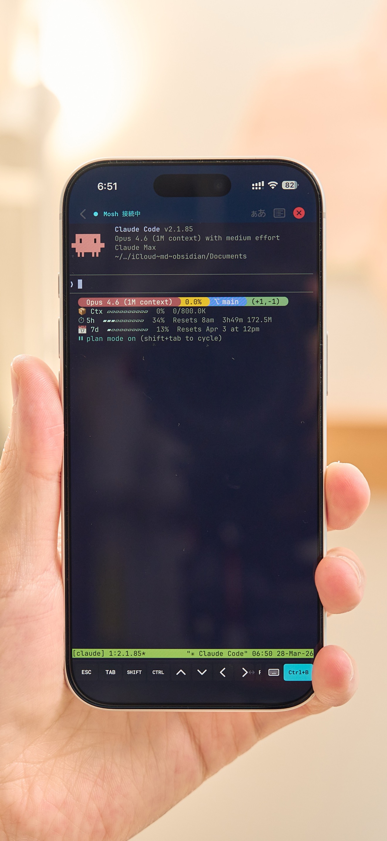 MT running a Claude Code terminal session on iPhone