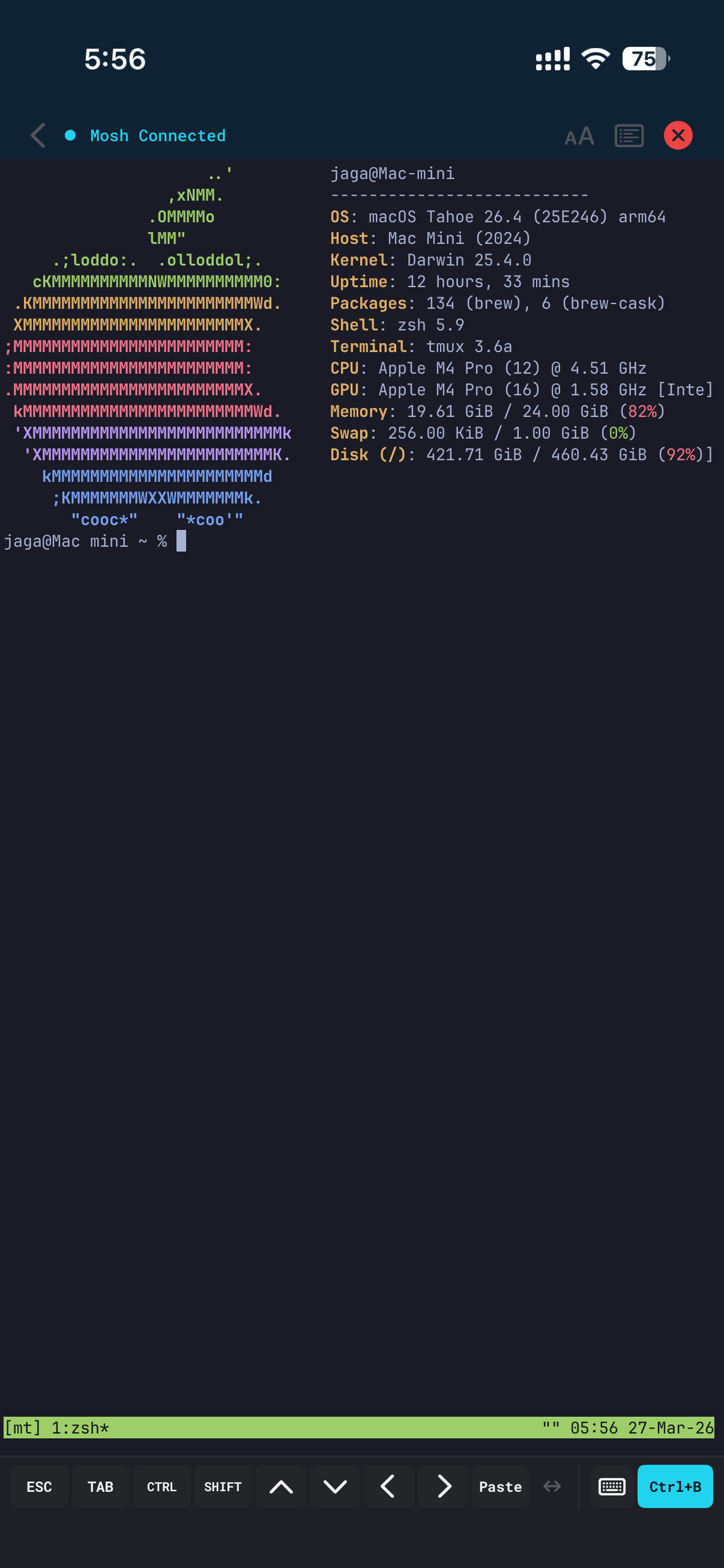 Mosh connected terminal session