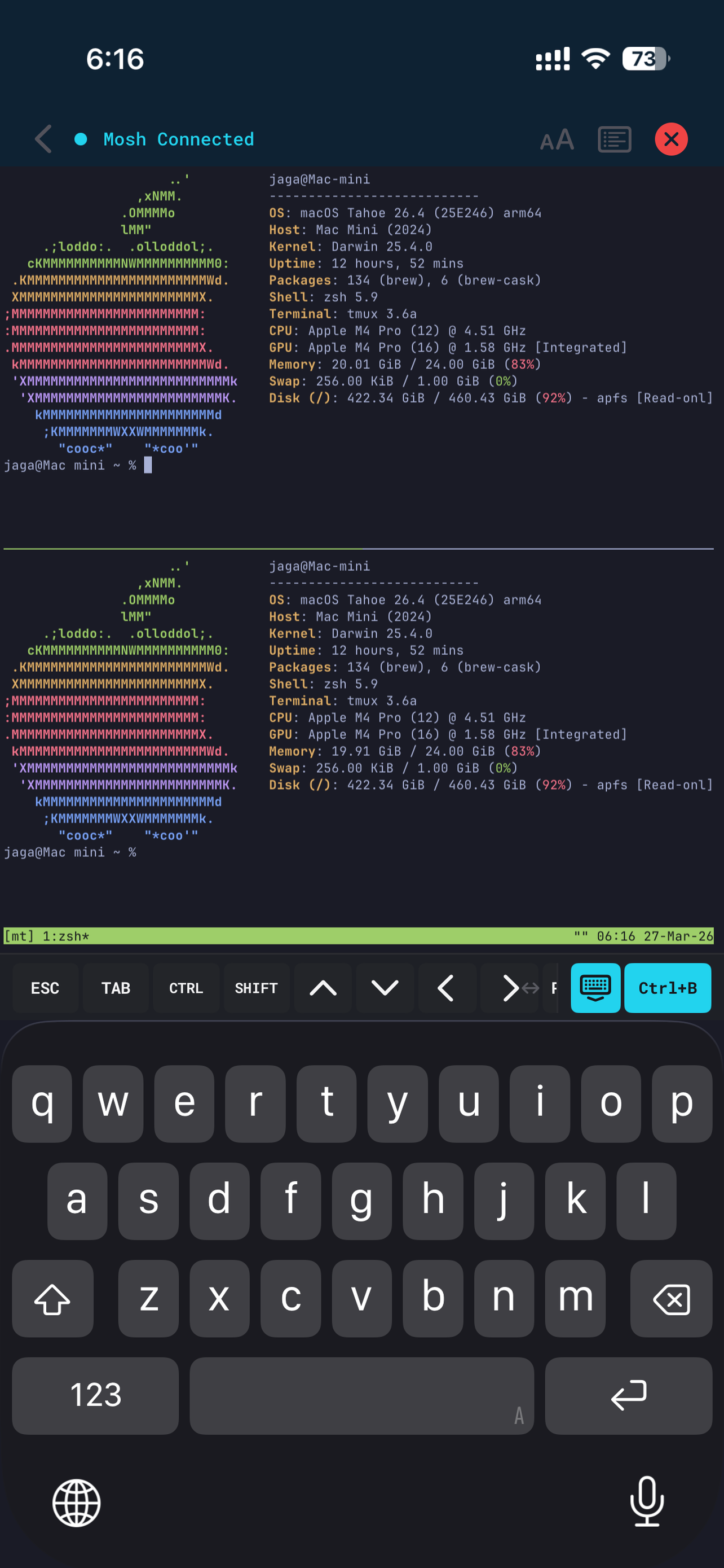 Multiple active terminal sessions in MT
