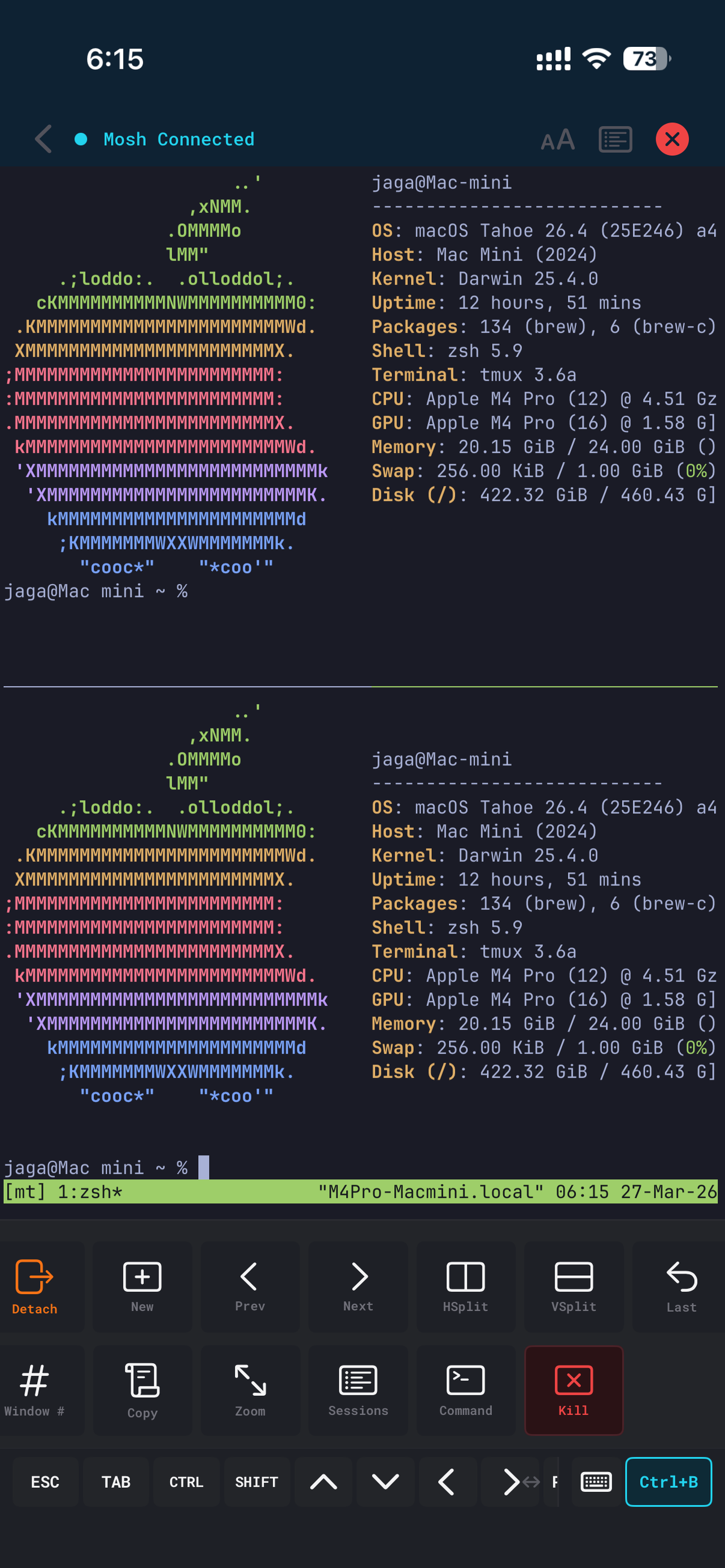 tmux panes and one-tap action bar